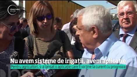 Situaţie dramatică pentru fermierii din vestul ţării! Seceta a distrus culturile de porumb şi de floarea soarelui