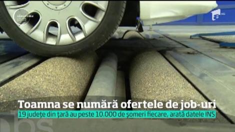 Toamna vine cu veşti bune pentru cei în căutarea unui loc de muncă