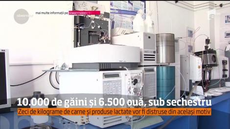 Descoperire îngrijorătoare în Satu Mare: 10 mii de găini şi 6.500 de ouă, contaminate cu pesticide