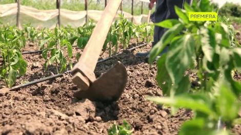 Prezentare: Marian Tănase, de profesie agricultor, adoră să cânte melodiile lui Julio Iglesias