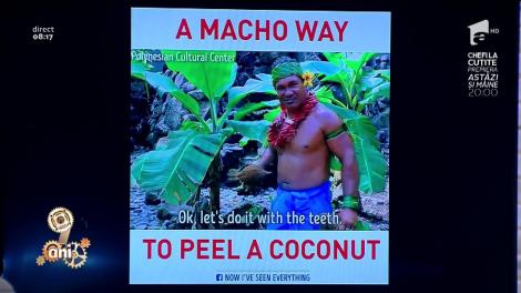 Provocare doar pentru bărbații ”adevărați”! Cum desfaci o nucă de cocos în 30 de secunde: Te bagi?