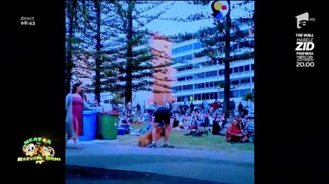 Smiley News. Râzi cu lacrimi! Cum face un Golden Retriever când nu vrea să plece din parc