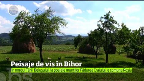 Peisaje de vis în Bihor
