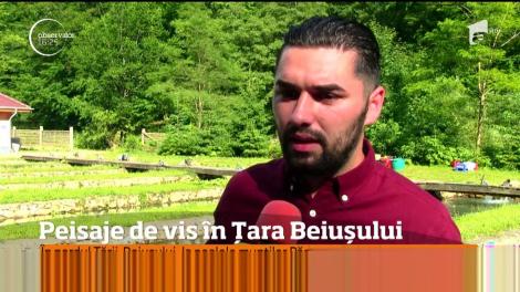 Comuna Roșia, &icirc;n nordul Țării Beiușului, la poalele munților Pădurea Craiului, una dintre zonele superbe care merită să fie explorate