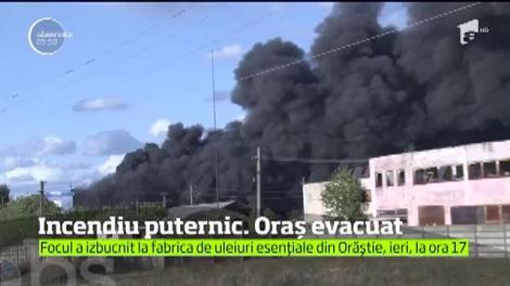 Incendiu puternic la o fabrică de uleiuri esenţiale de la periferia oraşului Orăştie! O persoană a fost grav rănită, alte patru s-au intoxicat cu fum