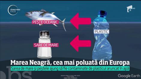 Avem cea mai poluată mare din toată Europa. Tonele de gunoaie pe care le lăsăm pe plajă în fiecare vară se întorc în organismul nostru şi ne otrăvesc!