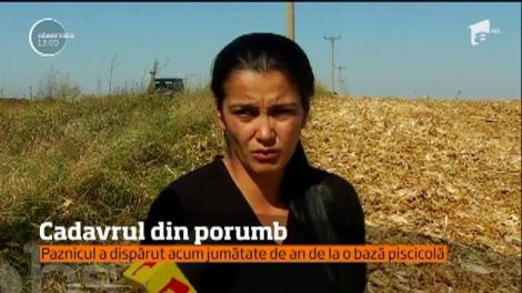 Cadavrul unui bărbat a fost găsit într-un lan de porumb, la marginea localităţii Săruleşti, din judeţul Călăraşi