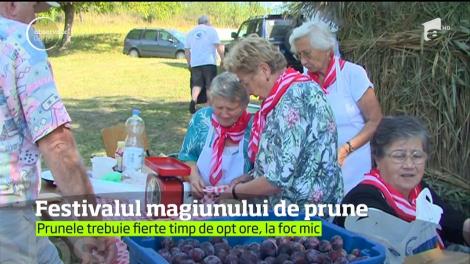 Festivalul Magiunului de Prune, în Maramureș