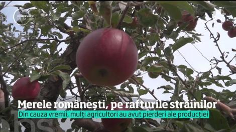 Merele românești, pe rafturile străinilor