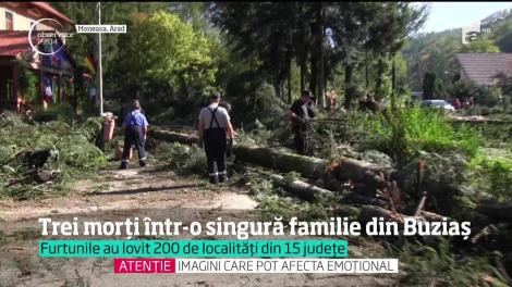Vijelia violentă care a lovit Timişoara a fost de cinci ori mai slabă decât uraganul Irma, însă pagubele pe care le-a provocat sunt uriaşe