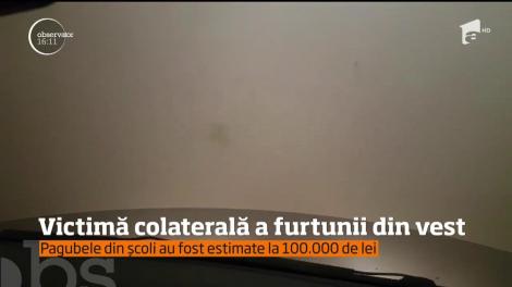 Furtuna care a afectat nouă judeţe din vestul ţării a făcut şi o victimă colaterală!