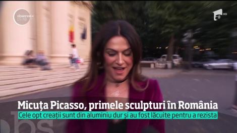 Micuţa Picasso a cucerit, din nou, România