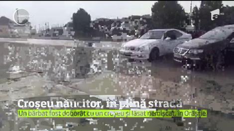 Scene ȘOCANTE întro benzinărie din România. Un bărbat este BĂTUT CRUNT de un tânăr!