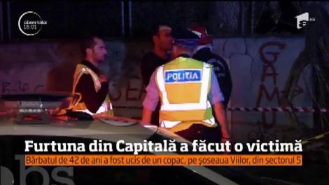 Furtuna din Capitală a făcut o victimă. Un bărbat de 42 de ani a murit după ce a căzut un copac peste el
