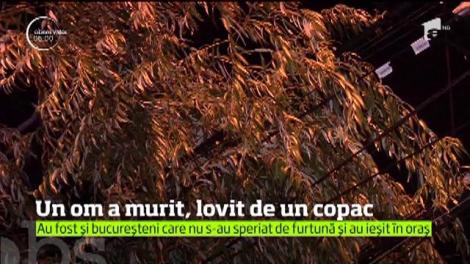 Furtuna a luat o viaţă în Bucureşti. Un bărbat a murit după ce un copac doborât de vijelie s-a prăbuşit peste el