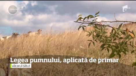 Un primar din România, surprins în timp ce BĂTEA un om al localității pe care o conduce!