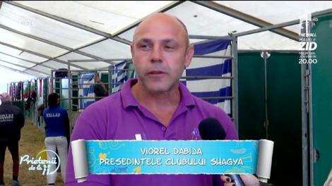 România va participa la campionatul balcanic de anduranță ecvestră
