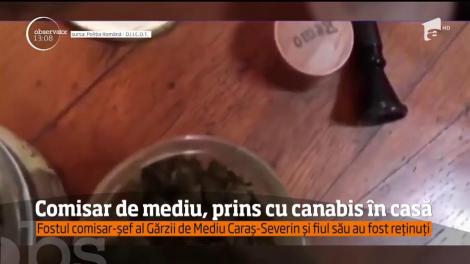 Comisar de mediu, prins cu canabis în casă