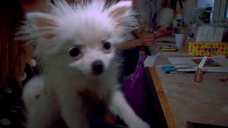 Culise: Lidia Buble se pregăteşte să devină Inna