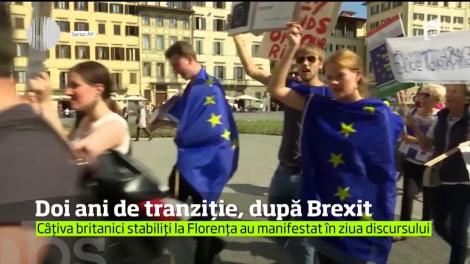 Doi ani de tranziţie, după Brexit, în Marea Britanie