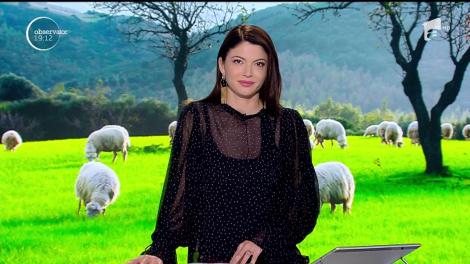 Ministrul Agriculturii, Petre Daea, în vizită la oi