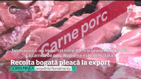 România trimite grâul peste hotare şi importă de două ori mai multă pâine şi prăjituri din afara ţării