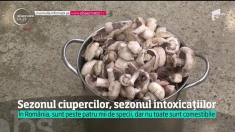 A început sezonul ciupercilor, dar și al intoxicațiilor. Un bărbat din Iași a murit