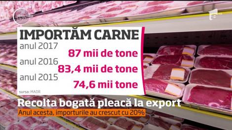 A fost un an bogat pentru agricultura românescă!