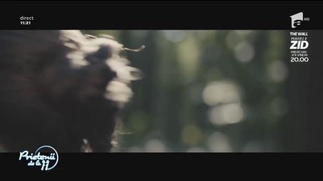 Bibi - "Dansez cu inima ta"