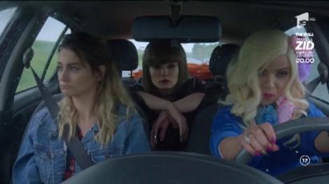 Roby Roberto: "Malone, tu ar trebui să intri în circuitul turistic al României. Creierul tău e o ruină, trebuie vizitată!"