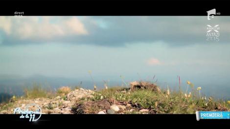 Videoclip în premieră la Prietenii de la 11! Freestay feat. Andra - "Între noi nu e nimic"