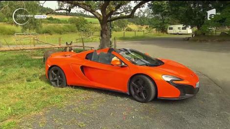 Gestul nevinovat al unui măgăruş din Germania îi costă scump pe stăpânii săi