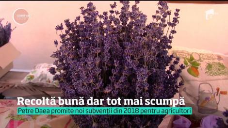 În România se face şi acum agricultură ca în evul mediu. Culturile ţăranilor sunt la mila vremii, iar noi simţit asta de câte ori mergem la piaţă