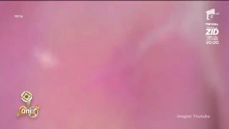 Noul tratament al Hepatiei C, cu o rată de vindecare de peste 98%: "Nu conține interferon. Pacienții scapă de efectele secundare ale vechiului tratament"