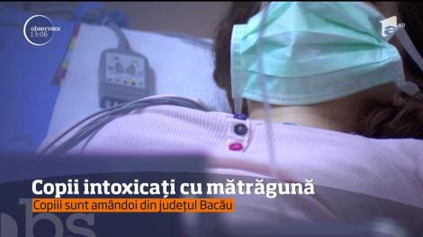 Un băiat a murit şi o fetiţă a ajuns în stare critică la spital, după ce au mâncat fructe de mătrăgună