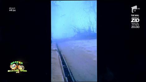 Smiley News. Biciclistul și copacul sau diferența între a fi deștept și a face pe deșteptul!