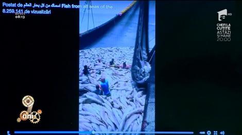 Smiley News. Pescari prinși în propria plasă!