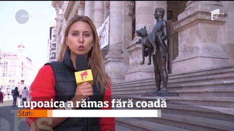 Lupoaica plasată pe treptele Muzeului Naţional de Istorie a rămas fără coadă!