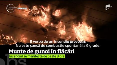 Incendiu de proporţii la groapa de gunoi a oraşului Cluj-Napoca!