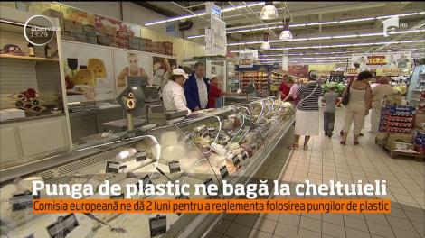 Punga de plastic ne-ar putea duce în faţa judecătorilor europeni