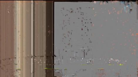 Incident la un centru de azilanți din Elveția! Un refugiat agresiv, înarmat cu cuțite, a fost împușcat mortal de polițiști