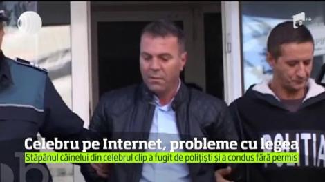 Vă mai amintiţi clipul "Cristi, băi, Cristi!''? Se pare că stăpânul patrupedului are ceva probleme cu legea