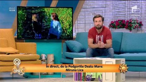 Ce vin românesc să ceri când mergi la un restaurant