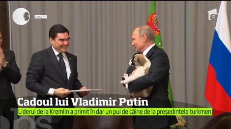 Vladimir Putin a primit un pui de câine de la omologul său din Turkmenistan