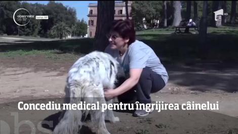 O femeie din Italia a primit concediu medical pentru a-şi îngriji câinele bolnav