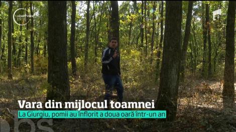 Vara din mijlocul verii. Pe litoral, curajoşii au facut şi baie în mare