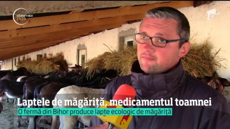Doi prieteni din Bihor, afacere prosperă cu lapte de măgăriţă