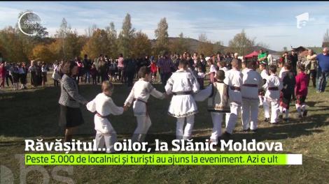 Weekend cu tradiţie. Pe muntele Bolovanul din Slănic-Moldova are loc "Răvăşitul oilor"