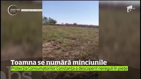 Legume româneşti, sută la sută naturale, crescute bio în ogradă. Aşa sună ofertele din pieţele autohtone