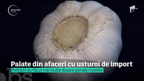 Mafia usturoiului şi-a ridicat palate profitând de naivitatea clienţilor. Nu e o glumă. Speculanţii au invadat chiar şi patria usturoiului românesc, Râmnicelu